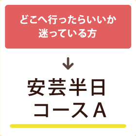 【どこへ行ったらいいか迷っている方】安芸半日コースA