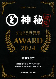 20240508173313874