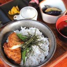 安芸釜あげちりめん丼