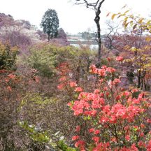 内原野公園