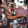 fighting_dogs_2016