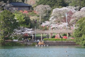 花御殿（安芸市　川竹様）