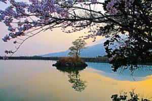 タイトルなし（安芸市　西澤様）