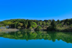 春鏡（安芸市　山崎様）