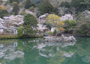 タイトルなし（安芸市　西澤様）