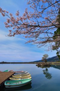 スタンバイ中（安芸市　山﨑様）