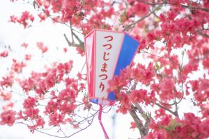 「新色」　安芸市　小松様