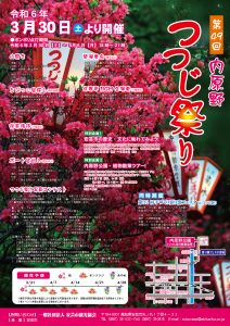 R6広報折込チラシ-01