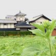 DSC_0089　使う(2)