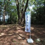 ●安芸城本丸跡