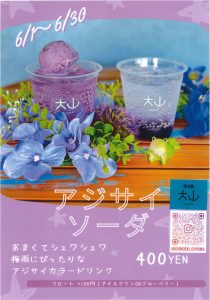 大山ブルーベリー