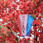 「つつじ日和」　高知市　濱口様