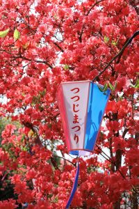 「つつじ日和」　高知市　濱口様