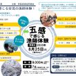 五感で感じる安芸市の漁師体験！
